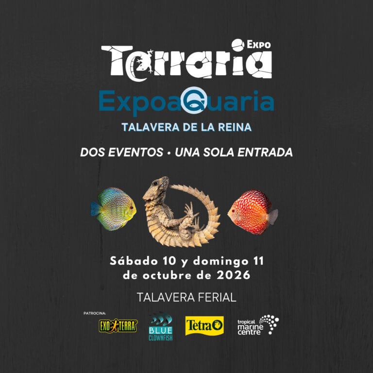 Expoterraria y ExpoaQuaria en Talavera de la Reina