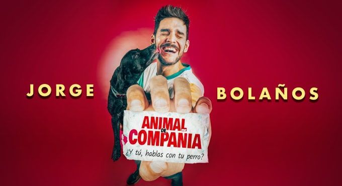 Animal de Compañía en Castellón de la Plana