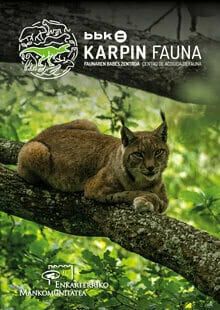 V. NO GUIADA bbk Karpin en Valle de Carranza